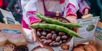 MIDAGRI: Legumbres peruanas conquistan más de 50 mercados internacionales