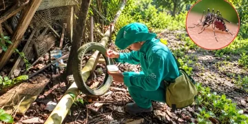Fenómeno El Niño podría elevar el riesgo de dengue en Amazonas: Diresa advierte sobre nuevos criaderos