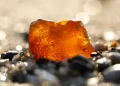 Lo usaban como tope de puerta pensando que era una piedra cualquiera, pero en realidad se trataba de un trozo de ámbar valorado en casi US$1 millón