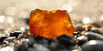 Lo usaban como tope de puerta pensando que era una piedra cualquiera, pero en realidad se trataba de un trozo de ámbar valorado en casi US$1 millón