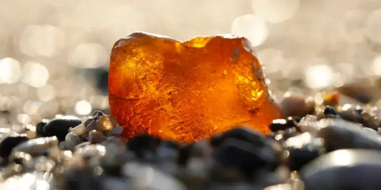 Lo usaban como tope de puerta pensando que era una piedra cualquiera, pero en realidad se trataba de un trozo de ámbar valorado en casi US$1 millón