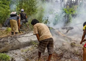 Incendio forestal arrasa más de 1.000 hectáreas en Satipo y amenaza comunidades asháninkas