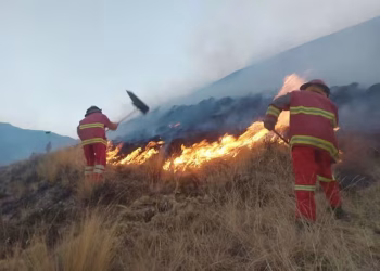 Siete regiones en alerta por incendios forestales activos: las zonas expuestas