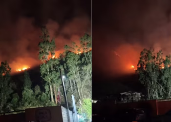 Incendio forestal en Cusco deja un fallecido y dos heridos: autoridades esperan apoyo aéreo tras más de 36 horas de fuego